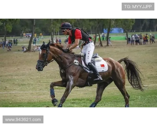 AK体育：提升团队合作精神的运动项目推荐